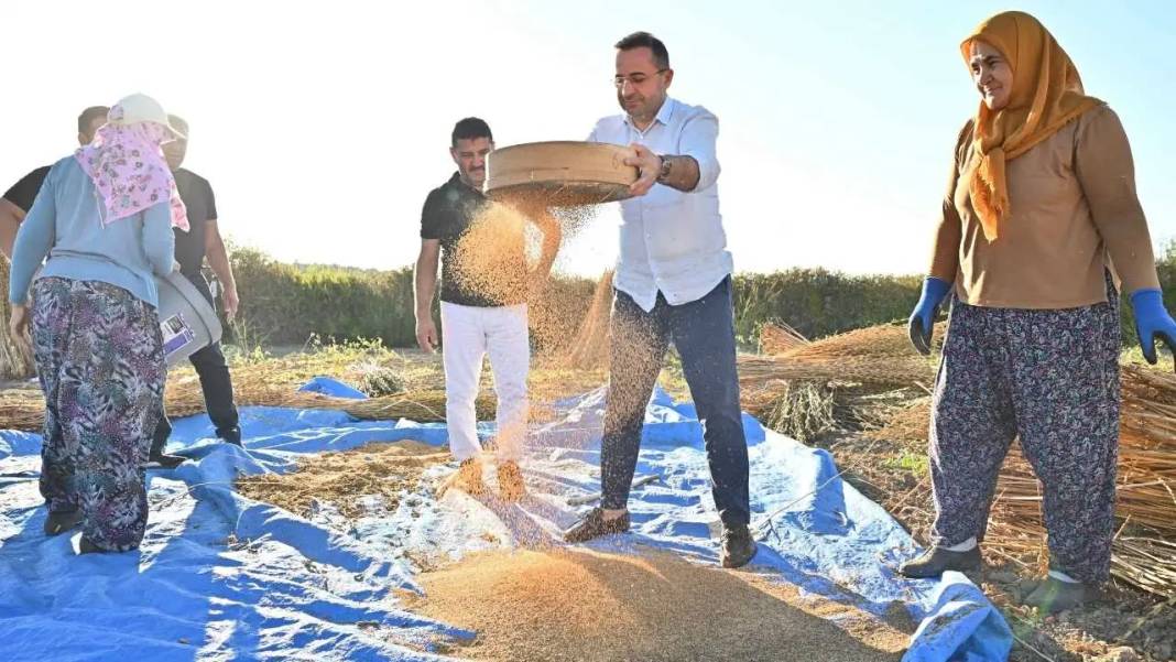 Manavgat’ın Altın Susamı 5 Yıldızlı Otellerin Mutfağını Süslüyor 5